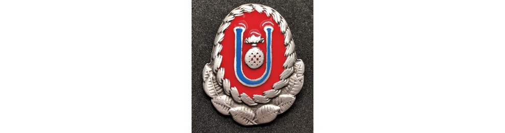 Cap and Helmet Badges