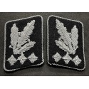 Collar Tabs, Shoulder Boards and Epaulettes