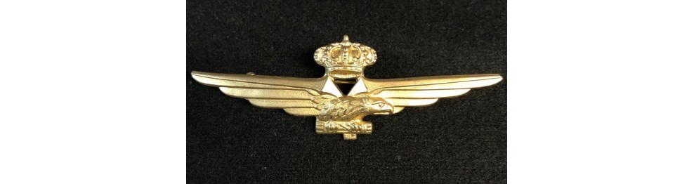 Brevets And Badges