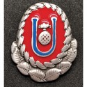 Mützenabzeichen, Helmabzeichen
